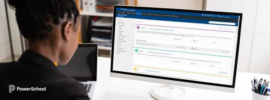 Professional reviewing computer screen